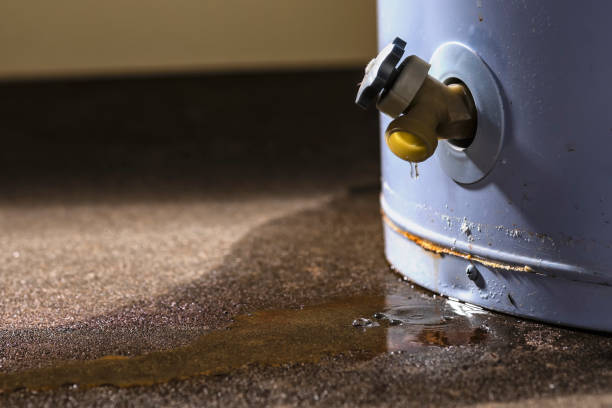 Best Fire Damage Restoration  in Bloomer, WI