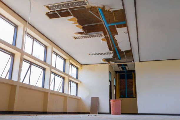 Best 24/7 water damage repair  in Bloomer, WI