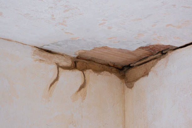 Best Flood restoration services  in Bloomer, WI