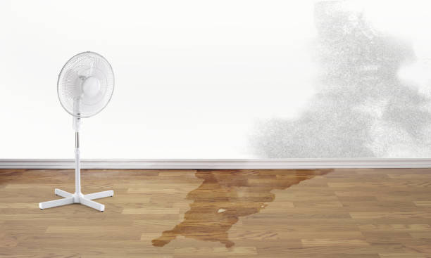 Best Local water damage restoration  in Bloomer, WI