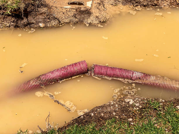 Best Residential water damage restoration  in Bloomer, WI
