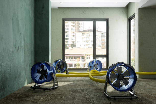 Best Sewage cleanup and water damage restoration  in Bloomer, WI