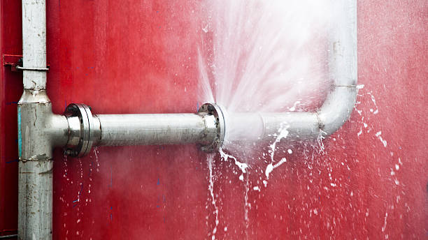Best Water damage restoration mold remediation  in Bloomer, WI
